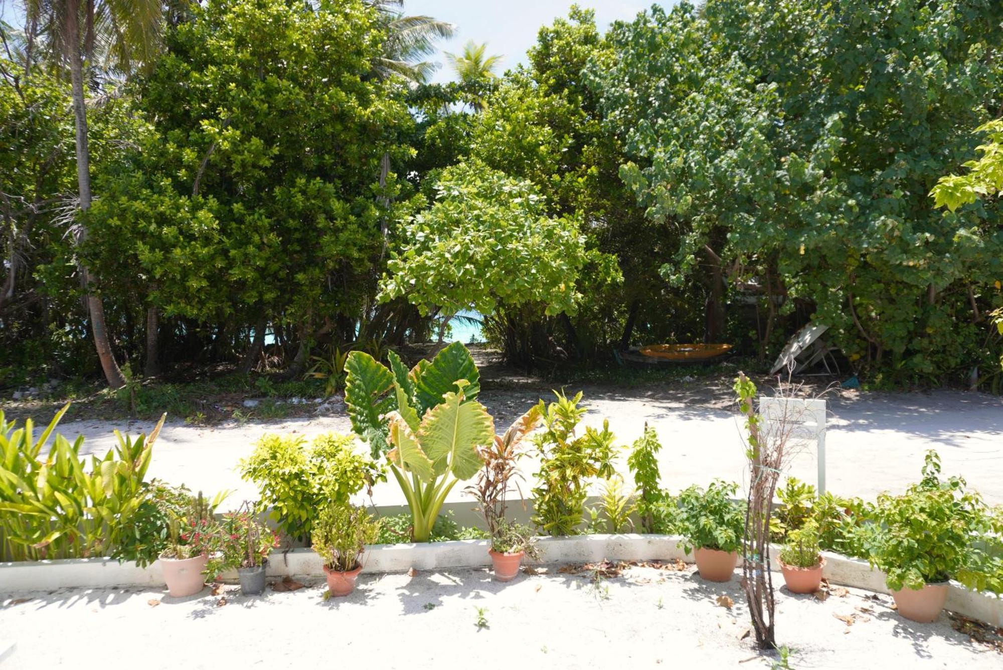 Tme Retreats Dhigurah Hotel Dhigurah  Exterior foto